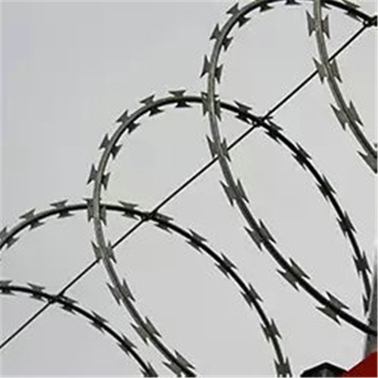 飞腾 监狱机场防盗铁丝网 围墙用刺绳 厂家量身定制